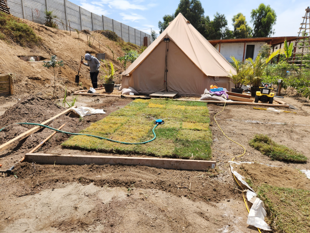 Building glamping site with grass consulting